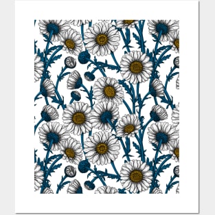 Daisies on white Posters and Art